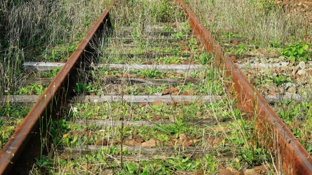 出来事　※日中線・相模線西寒川支線・清水港線はこの日に乗りに行きました※